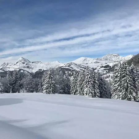 Chalet L'outarde *